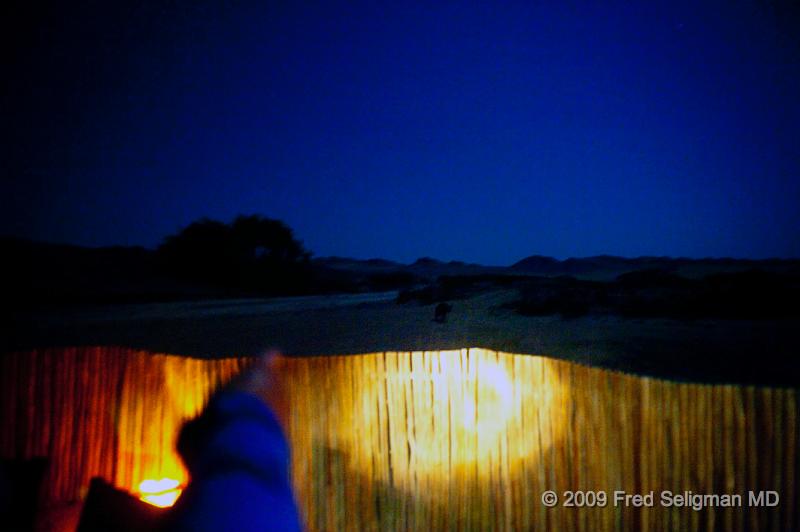 20090605_194318 D3 X1 V1 D1.jpg - Hyena seen at night outisde our camp on the Skeleton Coast, Namibia